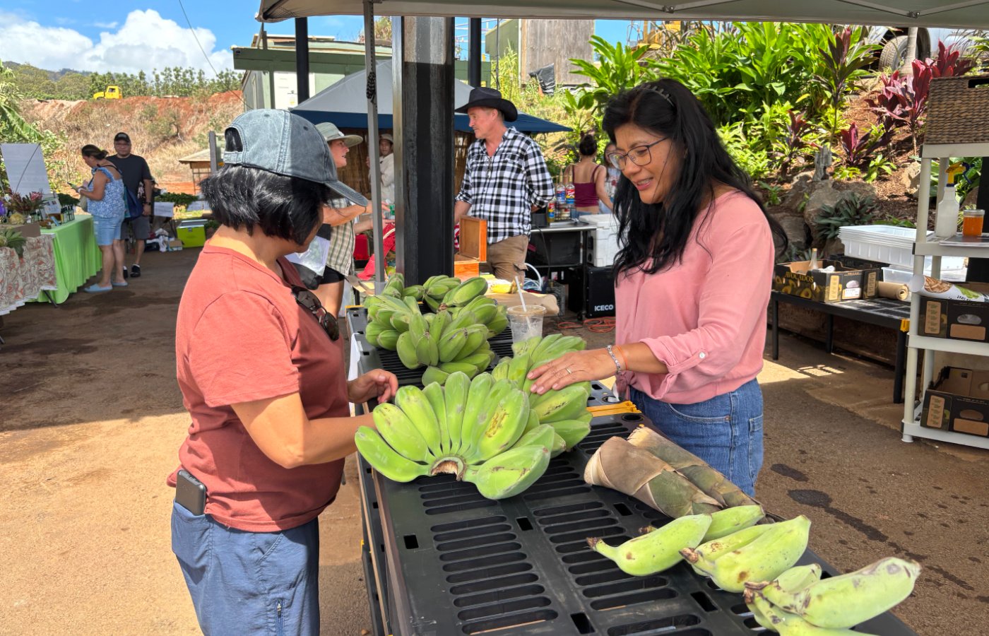Farmers Market - Rebecca - Bananas