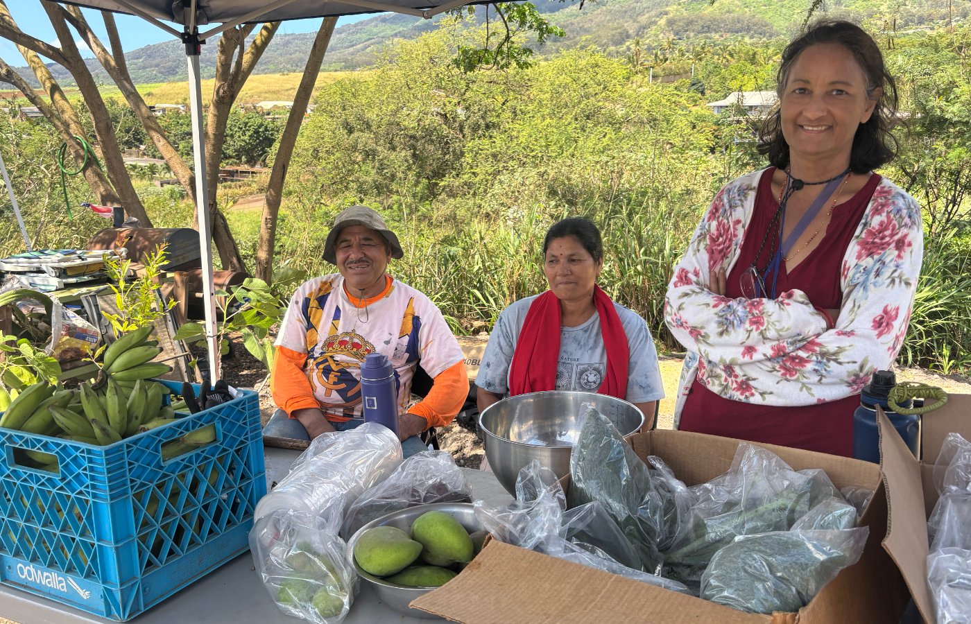 Farmers Market - Dr. Kabi - 2