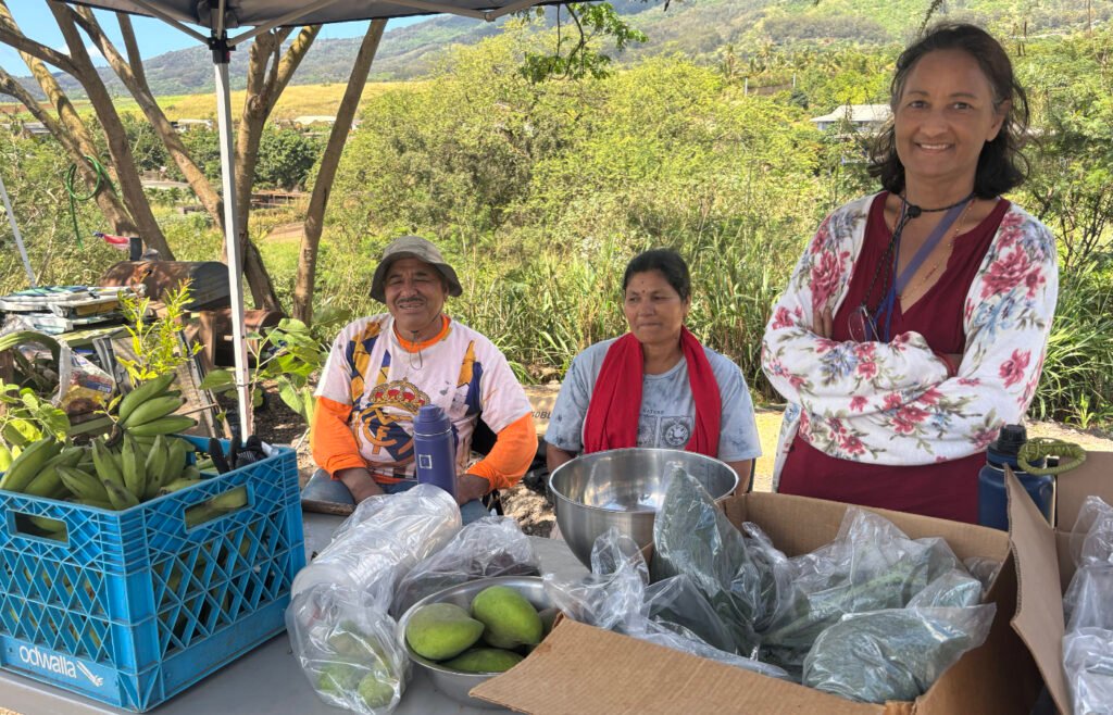 Farmers Market - Dr. Kabi - 2