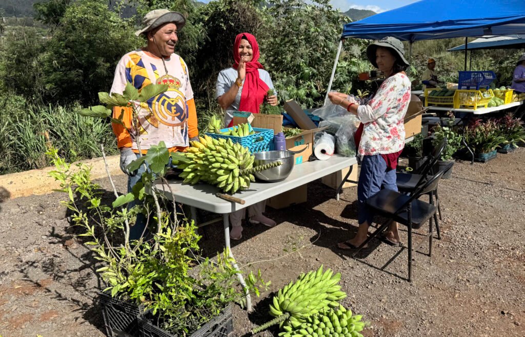 Farmers Market - Dr. Kabi Friends - 01