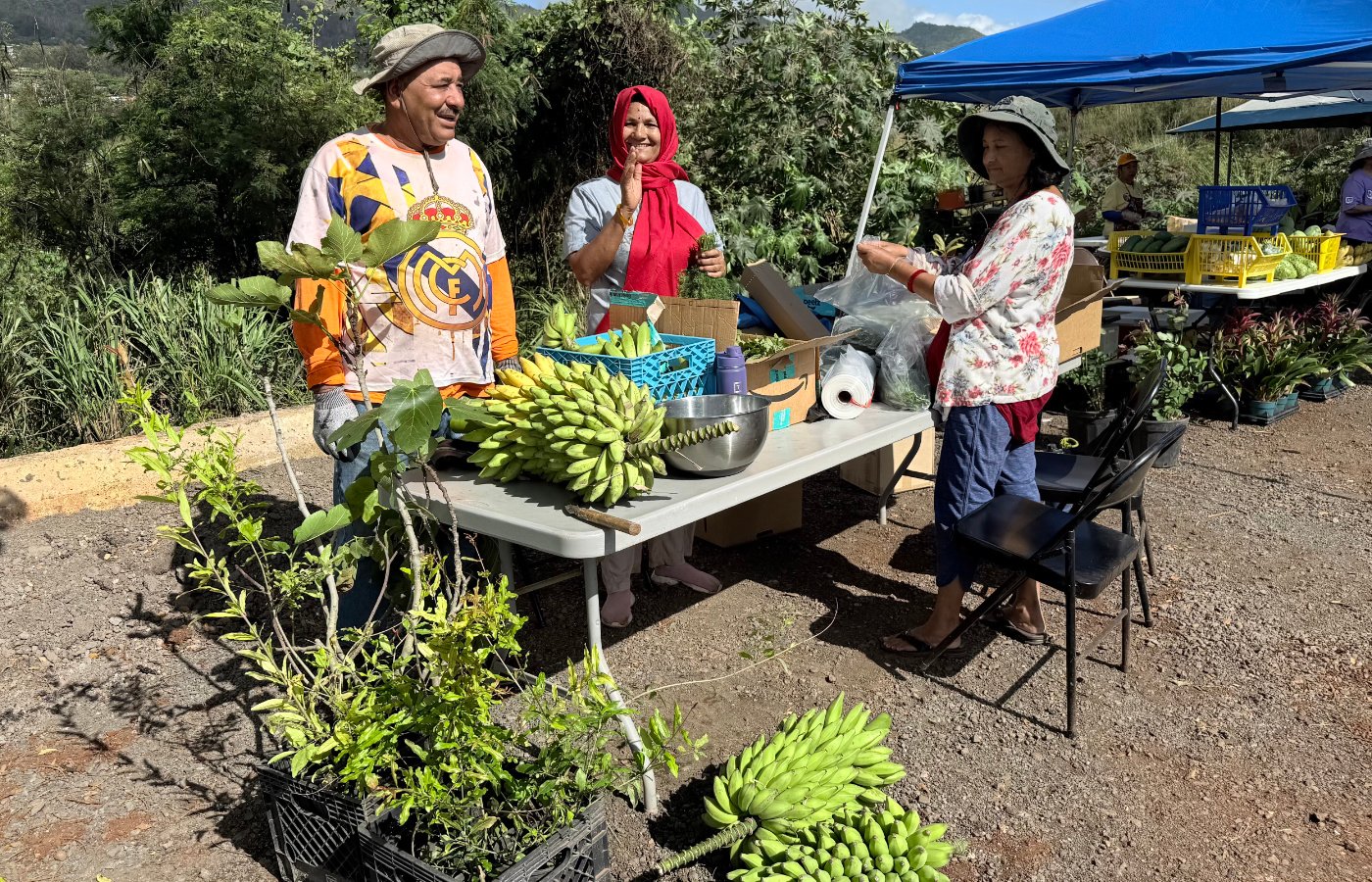 Farmers Market - Dr. Kabi Friends - 01
