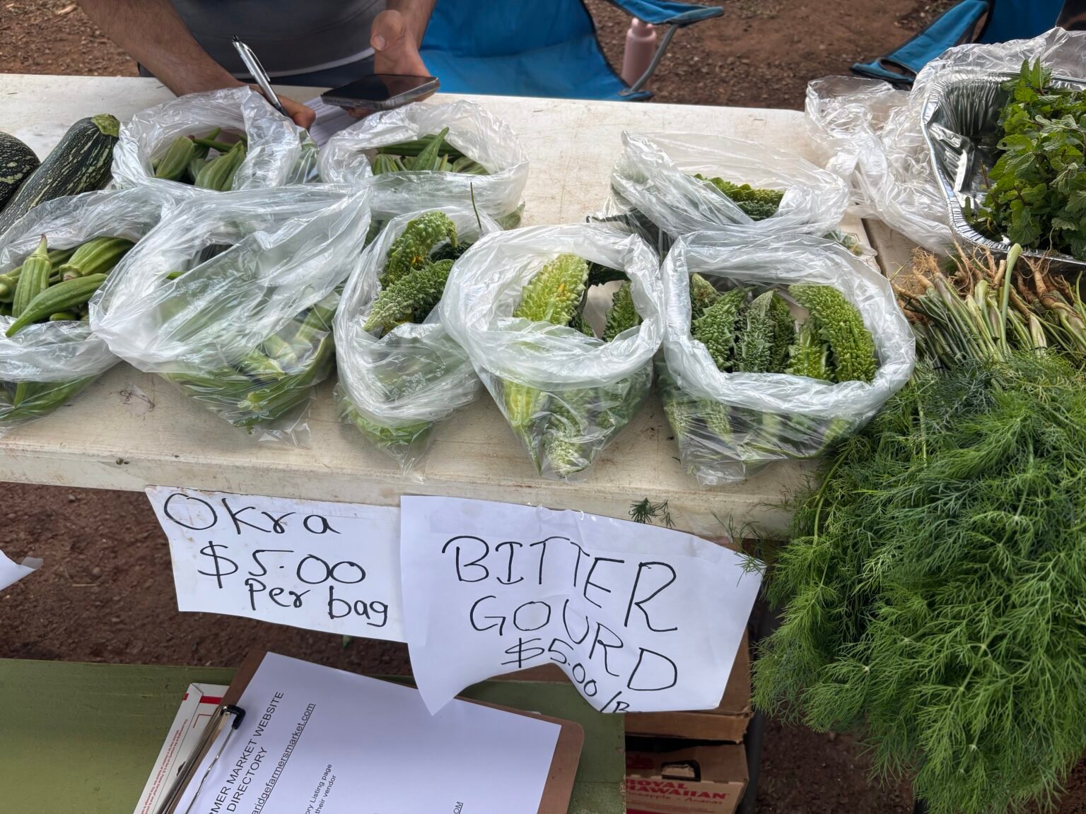 Dinesh - Aloha Nepal